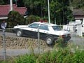 d00264.jpg