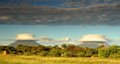 d00349.jpg