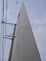 d00394.jpg