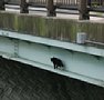 d00402.jpg