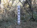 d00428.jpg