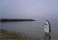 d00467.jpg