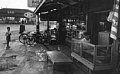 d00538.jpg