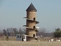 d00599.jpg