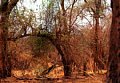 d00601.jpg
