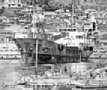 f00014.jpg
