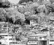 f00015.jpg