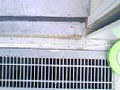g00097.jpg