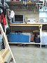 g00290.jpg