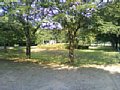 j00231.jpg