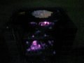 j00236.jpg