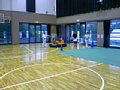 j00278.jpg