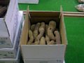 j00501.jpg