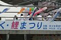 j00597.jpg
