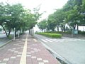 j01230.jpg