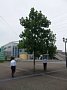 j01247.jpg