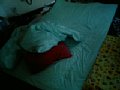 l00009.jpg