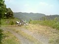 l00013.jpg