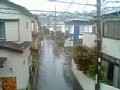 l00023.jpg