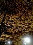l00131.jpg