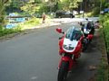 l00205.jpg