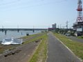 l00266.jpg