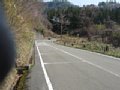 l00356.jpg