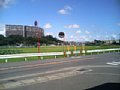 l00390.jpg