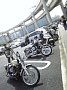 l00413.jpg