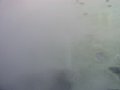 p00860.jpg
