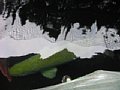 p01412.jpg