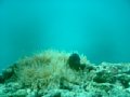 p01671.jpg