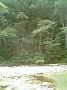 p01804.jpg