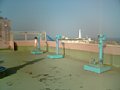 p01936.jpg