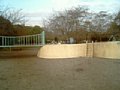 p02070.jpg