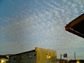 p02104.jpg