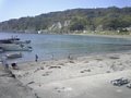 p02384.jpg
