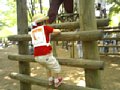 p02451.jpg