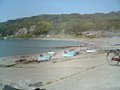 p02489.jpg