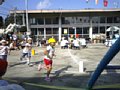 p02846.jpg