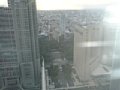 p02900.jpg