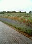 p03014.jpg