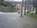 p03250.jpg