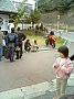 p03554.jpg