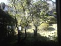 p03570.jpg