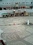 p03717.jpg