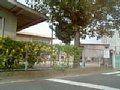 p03741.jpg