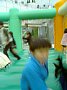 p03750.jpg