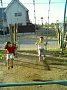 p03848.jpg