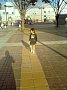 p03864.jpg